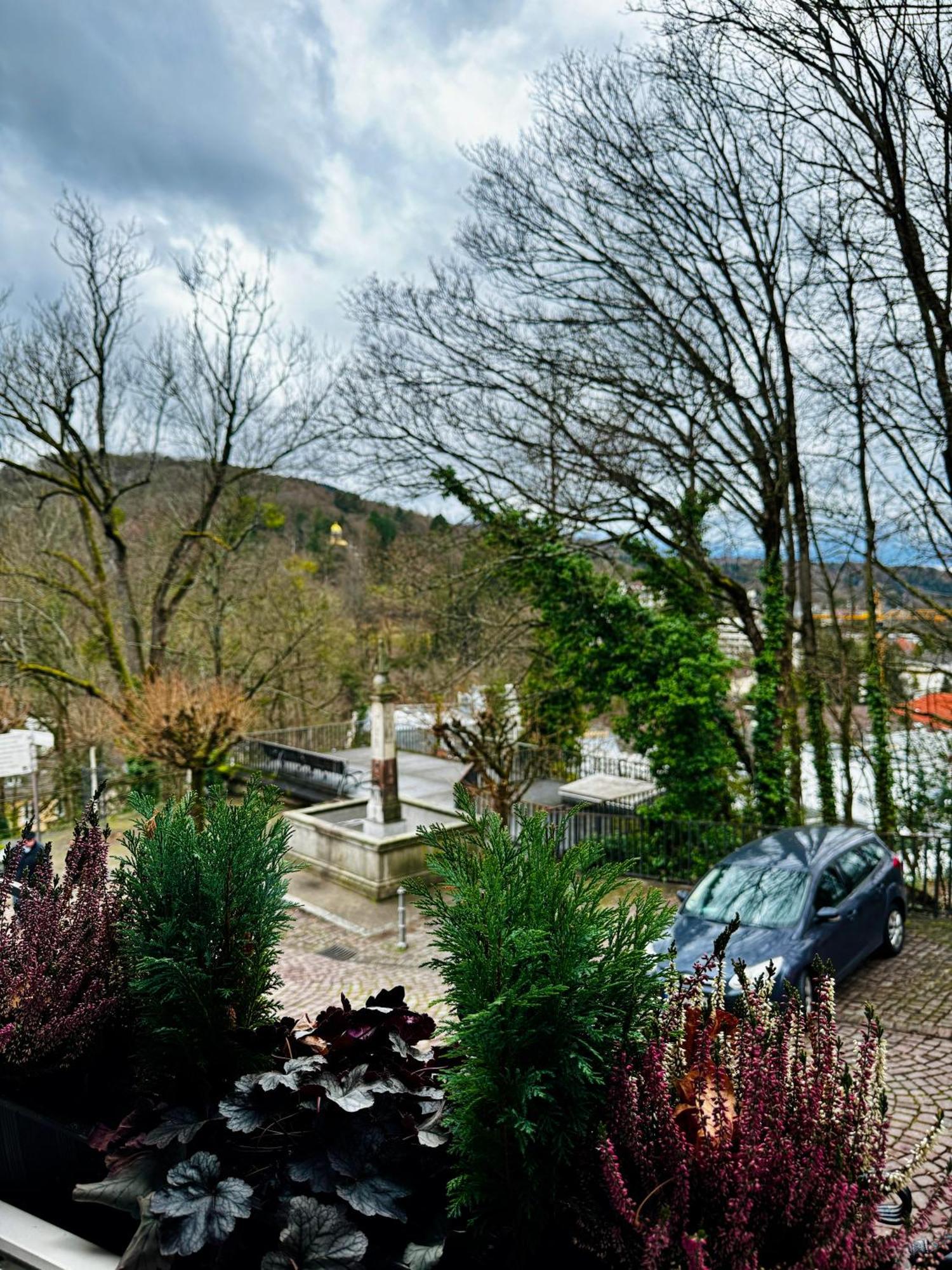 Apartment Schloss *