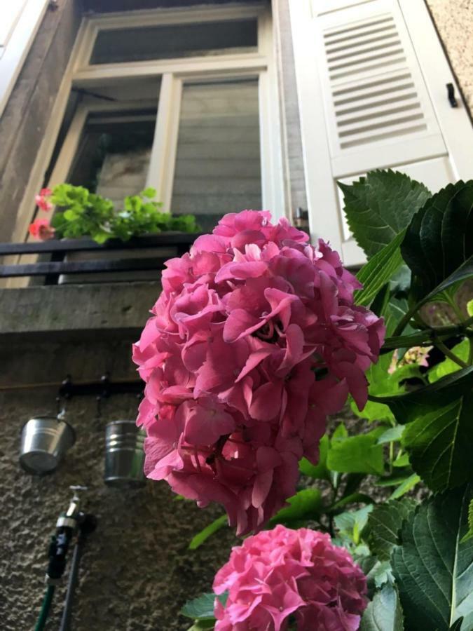 Appartement Schloss Apartment, Zentrum Baden-Baden